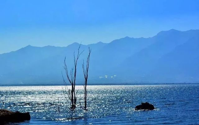 去了洱海才知道，骑着小电驴环湖真的很惬意。.jpg