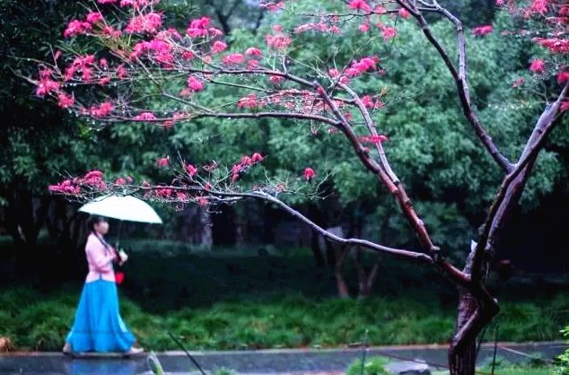 去了扬州才知道，这座“烟雨古城”其实生活感十足.jpg