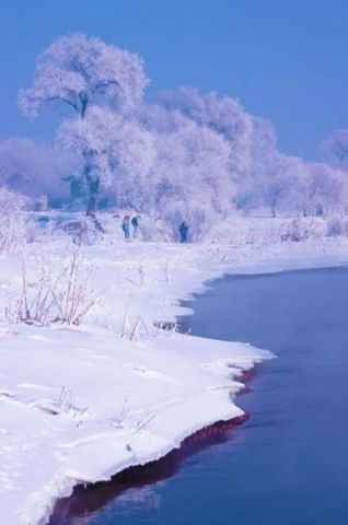 去了冬天的吉林才知道，有种冰冷的“花海”叫雾凇。.jpg